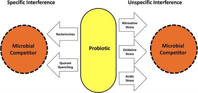 Probiotics in the Management of <mark class="highlighted">Gingivitis</mark> and Periodontitis. A Review